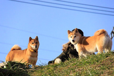 24resize6472.jpg