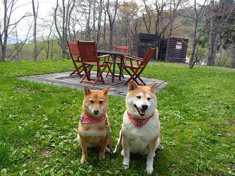 24resize7227.jpg