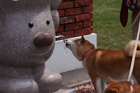25resize3147.jpg
