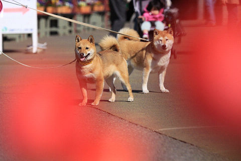 25resize5225.jpg