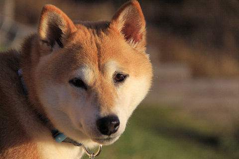 25resize6478.jpg