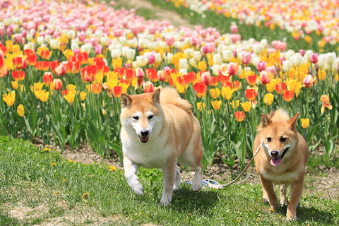 25resize7324.jpg
