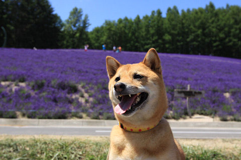 28resize7607.jpg