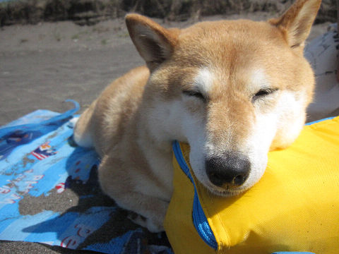 29resize2048.jpg