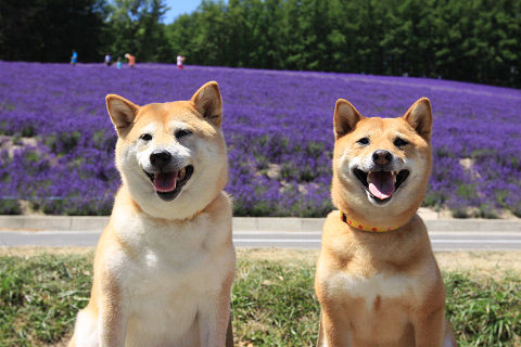 29resize7608.jpg