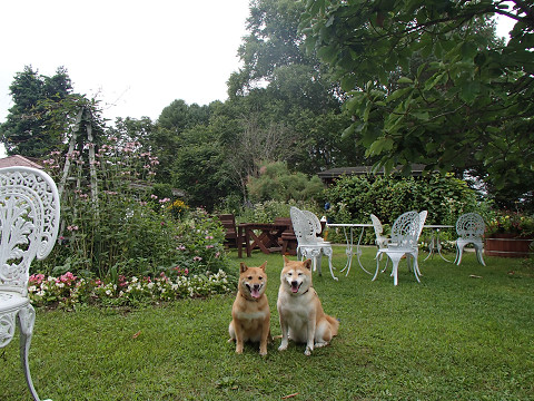 2resize0091.jpg