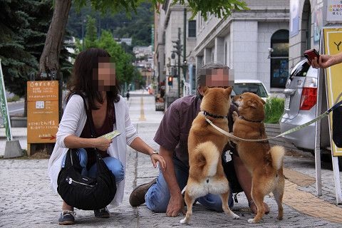 2resize0154.jpg