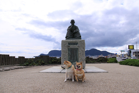 2resize0195.jpg