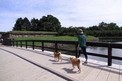2resize0274.jpg