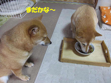 2resize0315.jpg