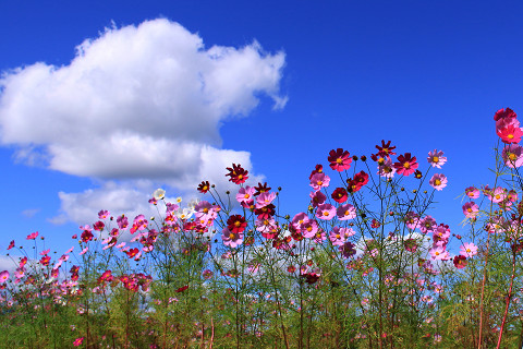2resize0389.jpg