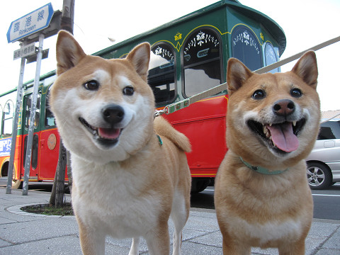 2resize0600.jpg