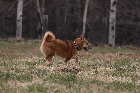 2resize0641.jpg