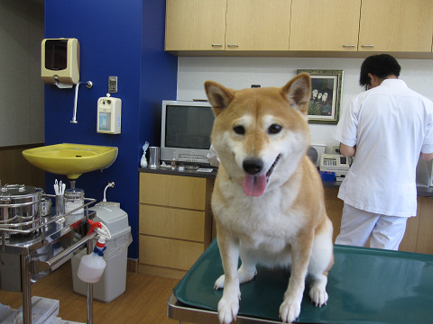 2resize0657.jpg