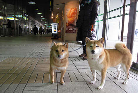2resize0805.jpg