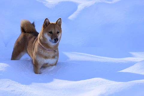 2resize1032.jpg