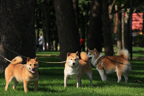 2resize2228.jpg