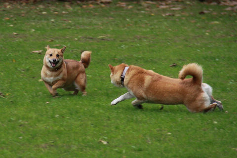 2resize2281.jpg
