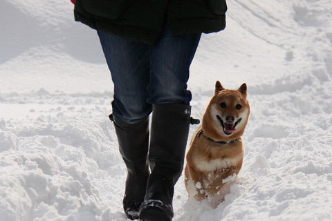 2resize2770.jpg