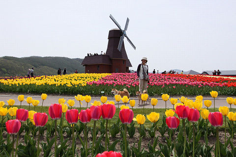 2resize3148.jpg