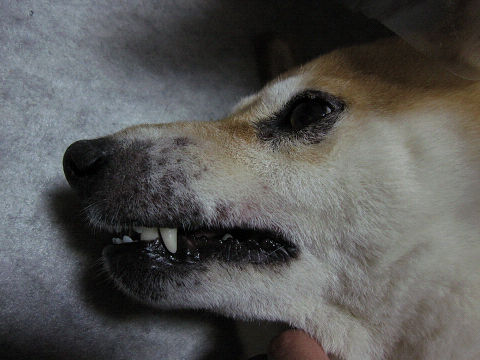 2resize3237.jpg