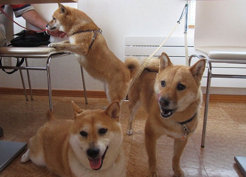 2resize3431.jpg