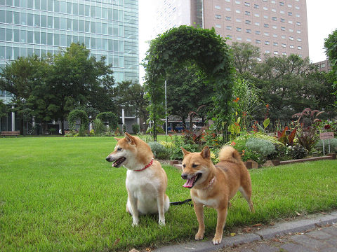 2resize3533.jpg