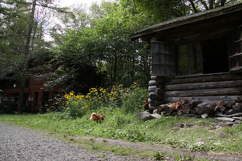2resize3682.jpg