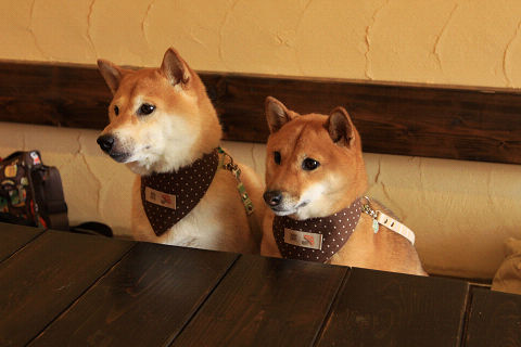 2resize4142.jpg