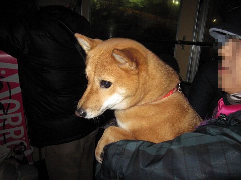2resize4535.jpg
