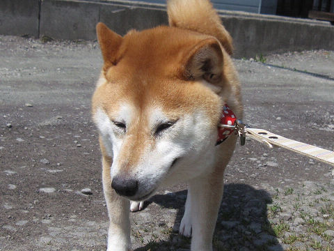 2resize5289.jpg