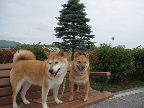 2resize5583.jpg