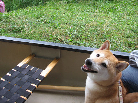 2resize5811.jpg