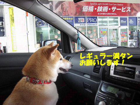 2resize5855.jpg