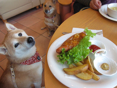 2resize6316.jpg