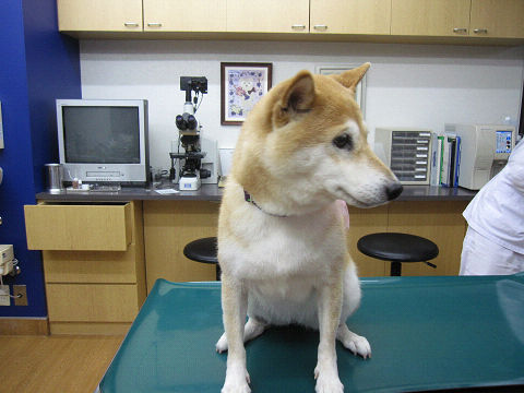 2resize6420.jpg