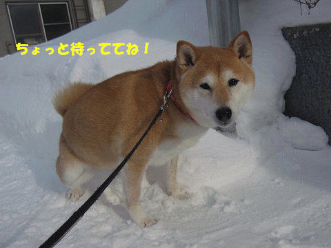 2resize6705.jpg