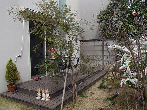 2resize6808.jpg