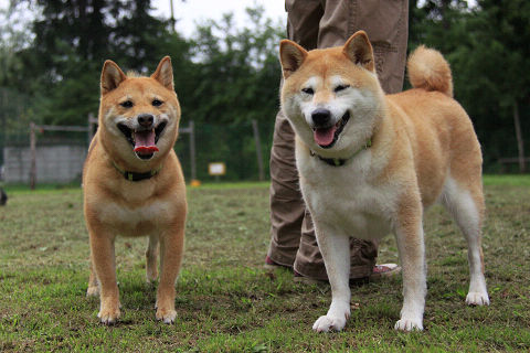 2resize7656.jpg