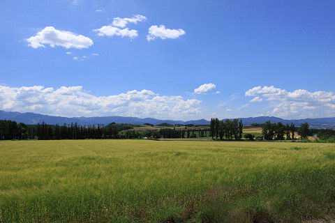 36resize7583.jpg