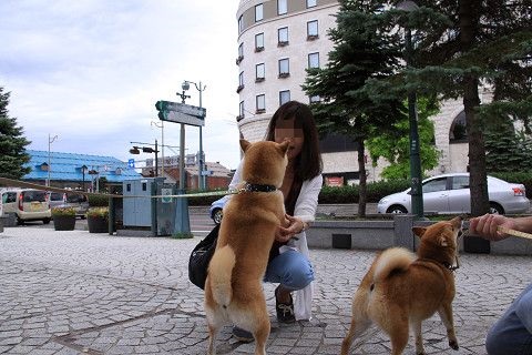 3resize0155.jpg