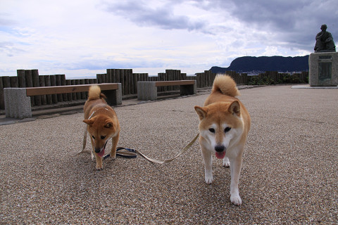 3resize0196.jpg