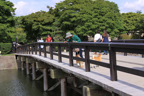 3resize0277.jpg