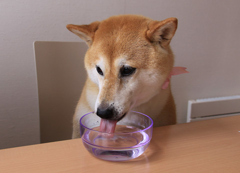3resize0372.jpg