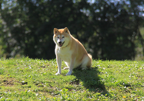 3resize0436.jpg