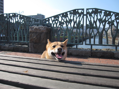 3resize0604.jpg