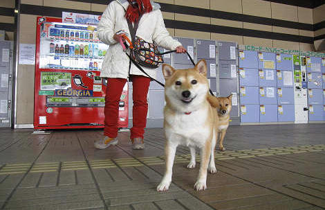 3resize0807.jpg