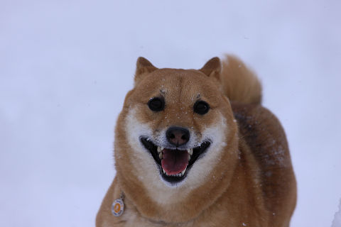 3resize0989.jpg