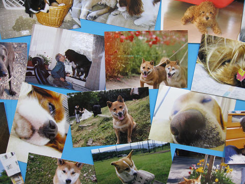 3resize1063.jpg