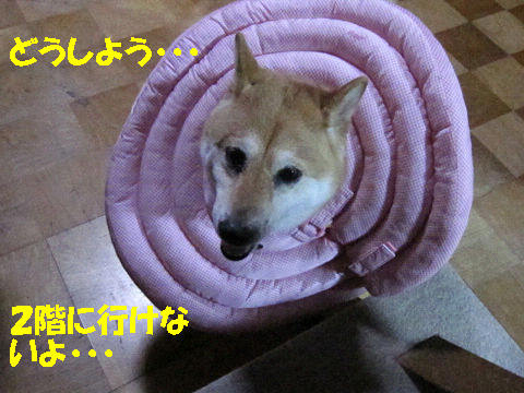 3resize1724.jpg